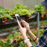 agriculture routing software