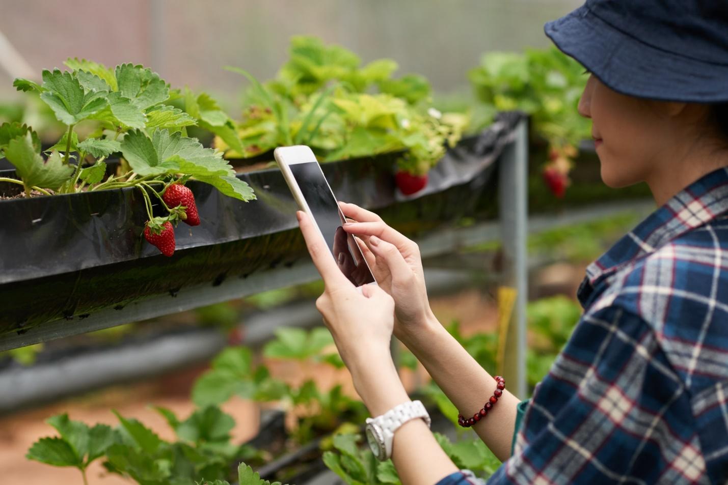agriculture routing software